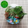 Musgo de campo cálido micro paisajismo carnoso botella de vidrio ecológica planta verde creativa bolsa de materiales DIY adornos traje de actividad
