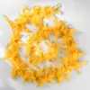 En stock transfronterizo 40g tiras de plumas pavo bufanda de plumas bola decoración de festival tiras de plumas DIY 2 metros