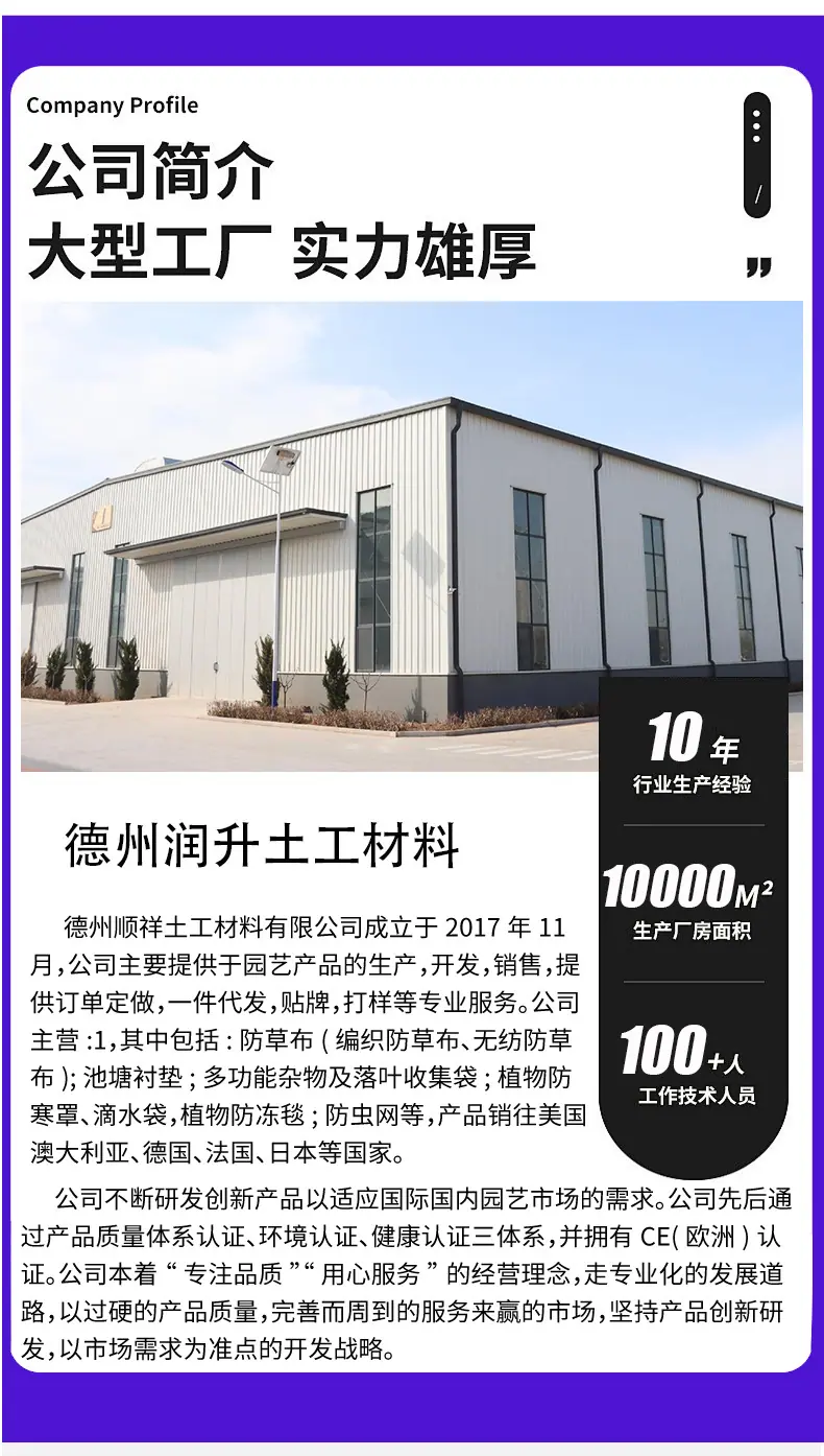 zheyangwang-_11