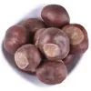 Fruta de Sorosolaceae al por mayor y dropshipping