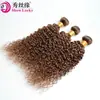 Peruca Xuchang Cabelo Humano Peruano 100g Trama de Cabelo Humano Peruano Kinky Curly