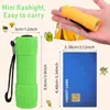 Lanterna Portátil Mini Nove Contas de Lâmpada XPE Iluminação Forte Usando 3 Pilhas AAA Bolso Outdoor Lanterna de Emergência Presentes para Crianças
