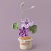 Celebrado en Internet Planta Verde Simulada Hecha a Mano Línea Xuefei Flor de Tung Tejida con Ganchillo Planta en Maceta de Lana Floreciendo Buen Presagio Adornos de Lana