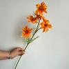 Laranja Departamento Laranja Amarelo Departamento Outono Série Casamento Cerimonial Teto Flor Linha Estrada Chumbo Alta Decorativo Simulação Flor