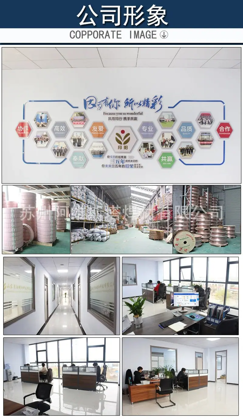 公司形象  800.jpg