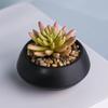 Atacado de fábrica logotipo personalizado simulação vaso de suculenta preto fosco moda simples decoração de planta artificial