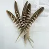 Pluma de nido de gallina molida, directa de fábrica, pluma de nido de gallina, pluma de nido de faisán macho, pluma de faisán natural, decoración de plumas de color DIY