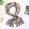 2023 Últimas Estrelas Mesmo Estilo Estreito Longo Pequeno Lenço Feminino Estilo Primavera Elegante Cachecol Decorativo para Todos os Fósforos