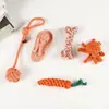 Novo conjunto de cinco peças de brinquedo de corda de algodão trançado para cachorro, bola de corda para puxar e brincar com o cachorro, brinquedo interativo resistente à mastigação para aliviar o tédio
