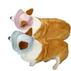 Sombrero de Sol para Mascotas, Sombrero de Pescador para Perros, Sombrero de Cubo para Corgi Bichon Teddy, Sombrero para Fotos al Aire Libre para Mascotas, Modelo Nuevo en Stock
