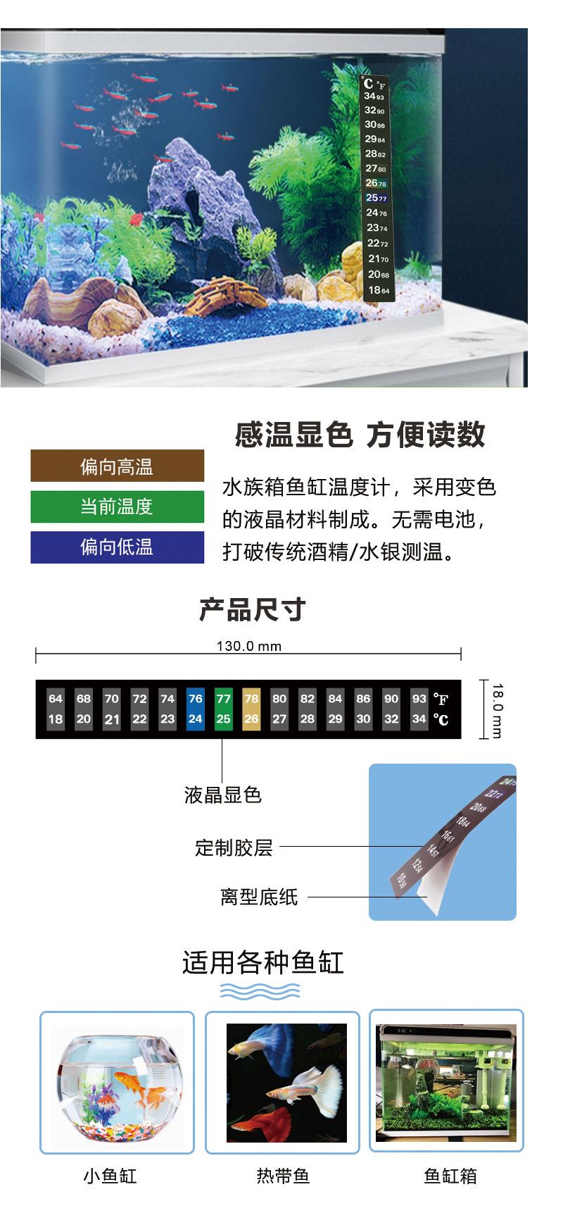 鱼缸-1