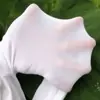 Calcetines de baile al por mayor primavera y verano finos alta elasticidad pantalones básicos para niños ballet blanco terciopelo pantimedias 80D