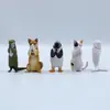 5 Patas de Dibujos Animados Animal Rezando Mano Hecha Perro Chai Gato Delfín Pingüino Jarrón de Agua Muñeco Gashin Adornos