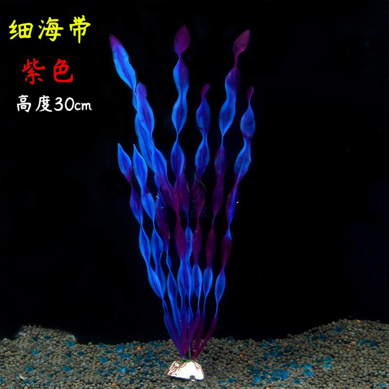 细海带紫色