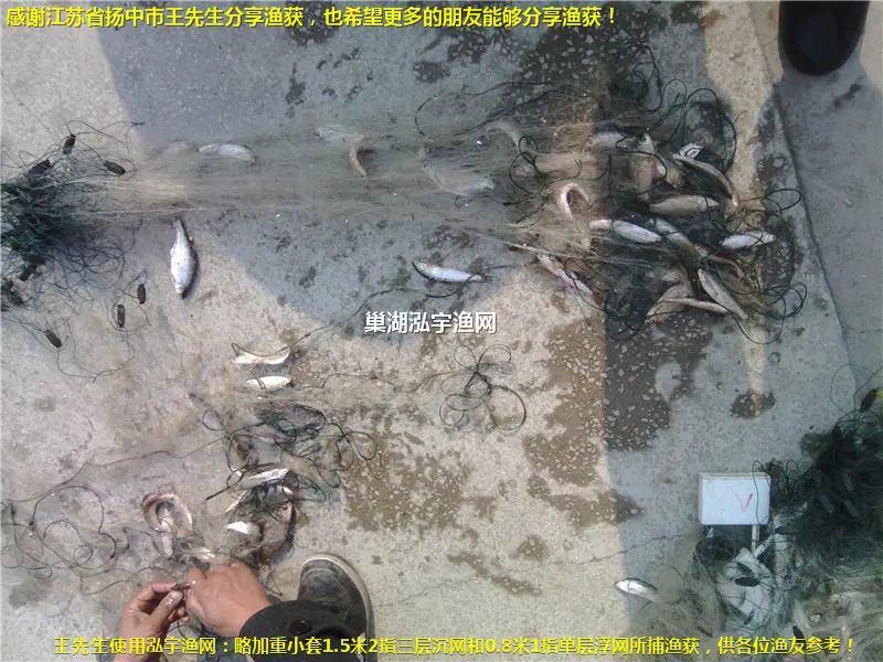800X600扬中市王先生渔获3