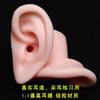 Modelo de Oreja de Silicona Oreja Artificial Realista Recogida de Oreja Enseñanza Silicona Suave Conducto Auditivo Largo 1:1 Oreja Falsa