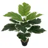 Plantas Verdes Simuladas ao Toque, Folhas Coladas, Rabanete Verde, Coração de Porco Sempre-Verde, Árvores Falsas, Engenharia Doméstica, Decoração de Interiores de Hotel, Bonsai