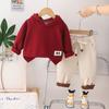 Roupa Infantil Menino Conjunto de Outono Novo Conjunto de Duas Peças Casual Estilo Ocidental com Capuz e Manga Longa para Cabelo