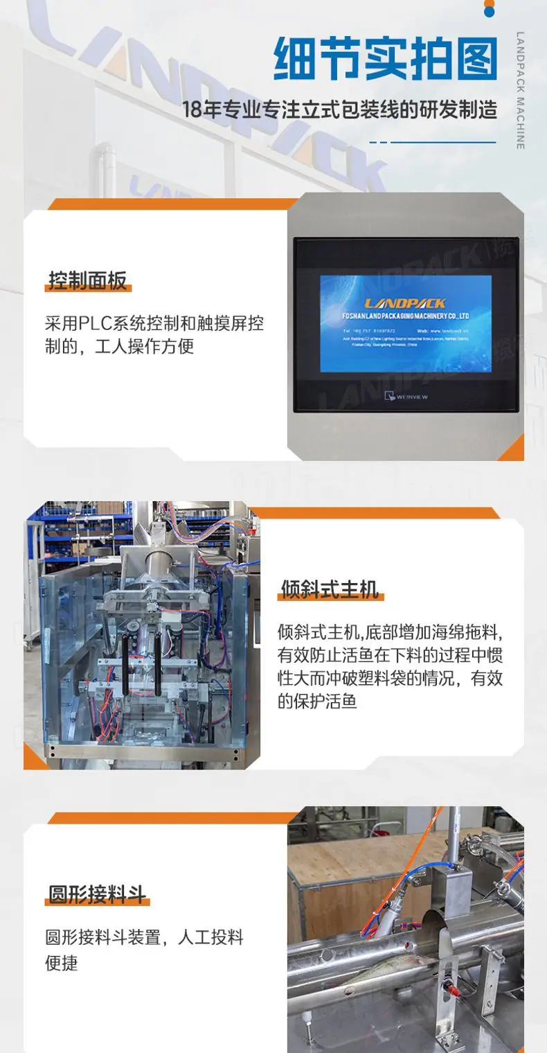 LD-520倾斜式+笋壳鱼+英姐_08.jpg