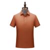 Comercio exterior de alta gama polo para hombre Paul logo personalizado algodón solapa manga corta camiseta publicitaria overol transfronterizo