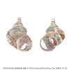 Colgante de Concha de Caracol Natural DIY Materiales de Galvanoplastia Aretes Hechos a Mano Carrillones de Viento Adornos Colgantes Colgantes Creativos Hechos a Mano