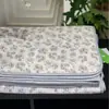 Capa de cama acolchoada de algodão estilo coreano, ganso grande modal, peça única, fresca e respirável para o verão, colchão, tatami, venda por atacado