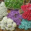 Sementes de Melão com Flores Secas de Yunnan, Flores Frescas Feitas à Mão, Flores Reais para Decoração de Casa, Adereços de Fotografia, Atacado