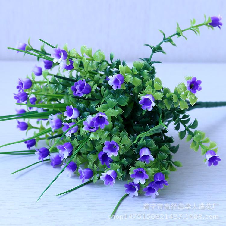 IMG_3966.png