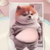 Adesivos Fofos de Cachorro Gordo para Alívio de Estresse, Adesivos Divertidos 3D, Filhote de Barriga Grande Brinquedos de Apertar Atacado