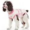 Roupa personalizada para recuperação de cirurgia de esterilização de cães, para proteger feridas e fornecer proteção abdominal para animais de estimação feridos