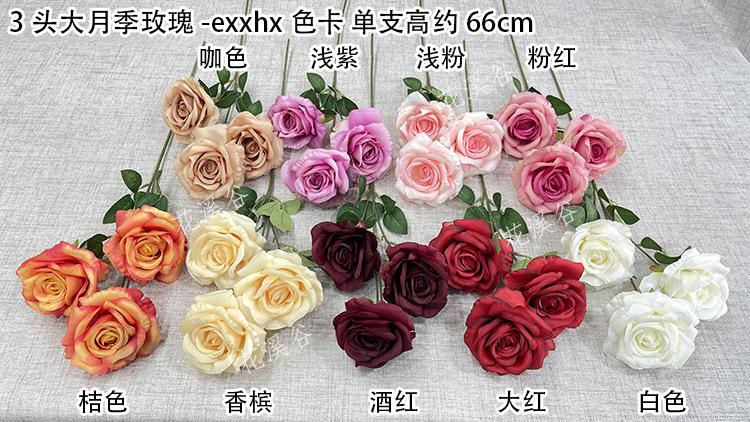 3头大月季玫瑰-exxhx 色卡 花溪谷.jpg