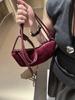 Bolsa Pequena para Mulheres, Novo Estilo Trendy 2025 Casual Versátil Moda Nicho Bolsa Transversal com um Design Dumpling Sofisticado