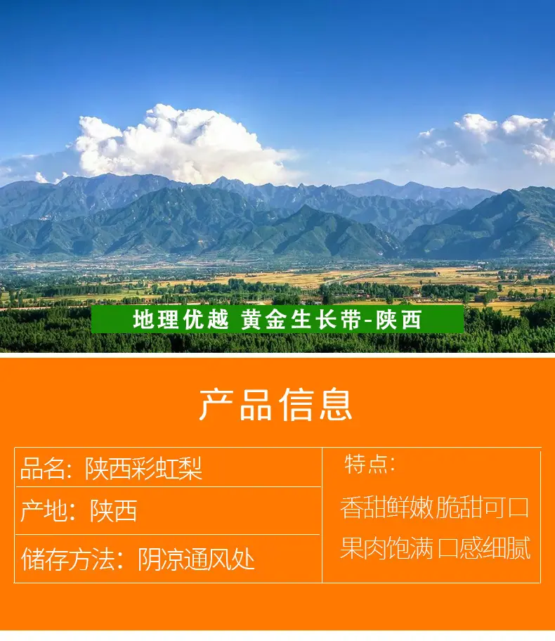 陕西稀世彩虹梨详情图2