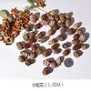 Material de Fruta Seca Natural Marco de Fotos con Espécimen de Hoja Paquete de Material de Combinación de Flores Secas Hecho a Mano DIY Decoración Navideña Fruta