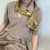Bufanda de seda perezosa pequeña larga estrella mismo estilo elegante combinable traje verano delgada protector solar Corea del Sur bufanda de cuello para mujer