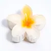Presilha de Cabelo Flor de Frangipani Mais Vendida, Presilha de Garra para Cabelo, Presilha Tubarão, Tamanho Grande para Cabelos Grossos, Acessórios Populares, Joias Yiwu