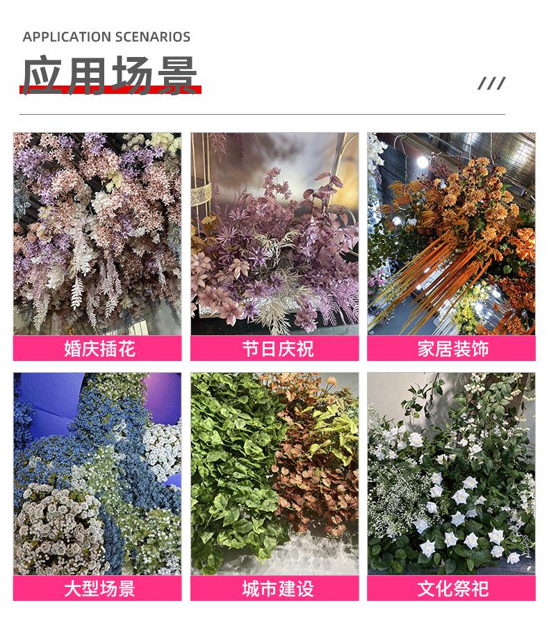 龙宇宇龙详情_08