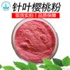 Pó de Cereja Acerola Extrato de Cereja Acerola Vitamina Vc17 em Estoque Pó de Cereja Pó de Fruta Cereja