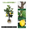 Planta em Vaso Artificial de Limoeiro Transfronteiriço, Grande Planta Artificial Verde para Interior, Árvore Falsa, Ornamento Decorativo de Chão para Sala de Estar