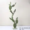 Cactus Pilares de Dragón Simulados Cactus Parásito Planta del Desierto Marroquí Decoración Suave para Paisajismo Modelo Decoración de Proyectos