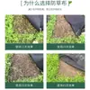 Tela anti-maleza de PE, tela para deshierbe agrícola, engrosada, antienvejecimiento, transpirable, permeable al agua, tela anti-maleza, especializada para huertos y invernaderos