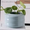 Jarrón Creativo Pequeño Fresco Celadón Decoración para el Hogar Sala de Estar Adornos Florales Hierba de Monedas de Cobre Contenedor de Escritorio para Plantas Verdes Hidropónicas