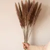 Flores Secas, Flores Reales, Estilo Wabi-Sabi, Flores Secas, Piñas, Algodón, Trigo Natural, Amapolas, Jarrones Decorativos para el Hogar