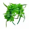 Fábrica de Origen de Nuevos Accesorios Halloween Flor de Plumas Accesorios para el Cabello Flor para la Cabeza Venta al por Mayor Diadema de Halloween Hebilla para la Cabeza de Mujer