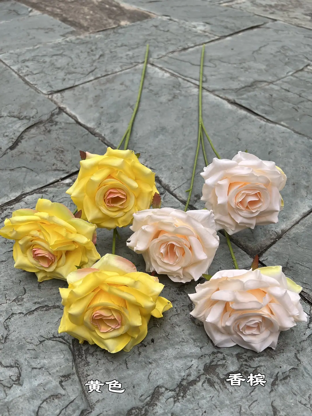 3头莱菲玫瑰 (5)