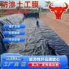 Geomembrana de HDPE para piscinas de tratamiento de aguas residuales, piscinas de sedimentación, membrana negra anti-filtraciones, estanque de oxidación, membrana negra de 1 mm para piscinas de biogás de granjas de cerdos