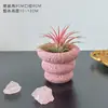 Abacaxi de Ar Office Desktop Plantas Verdes Internas Pequenas Plantas em Vasos Fáceis de Manter o Ano Todo Flores Estabilizadoras de Humor para Pessoas Preguiçosas
