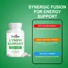 Cápsulas para el Cuidado Corporal Googeer Regulan y Cuidan el Cuerpo, Mejoran la Vitalidad y Proporcionan Suplementos Nutricionales Diarios