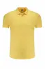 Polo de trabalho secagem rápida feito sob medida para funcionários, polo F alto 180g, camisa Paul, bordado para OEM