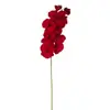 Flores Preservadas Transfronterizas, Orquídeas Mariposa Tácto Real de 10 Cabezas, Flores Artificiales para Exhibición Mayorista, Estilismo de Bodas, Decoración del Hogar y Flores para Decoración de Cubo de la Fortuna